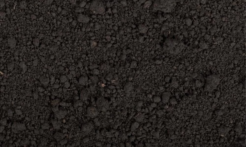 Pile of rich black dirt topsoil for landscape grading in Calgary–Edmonton, Alberta