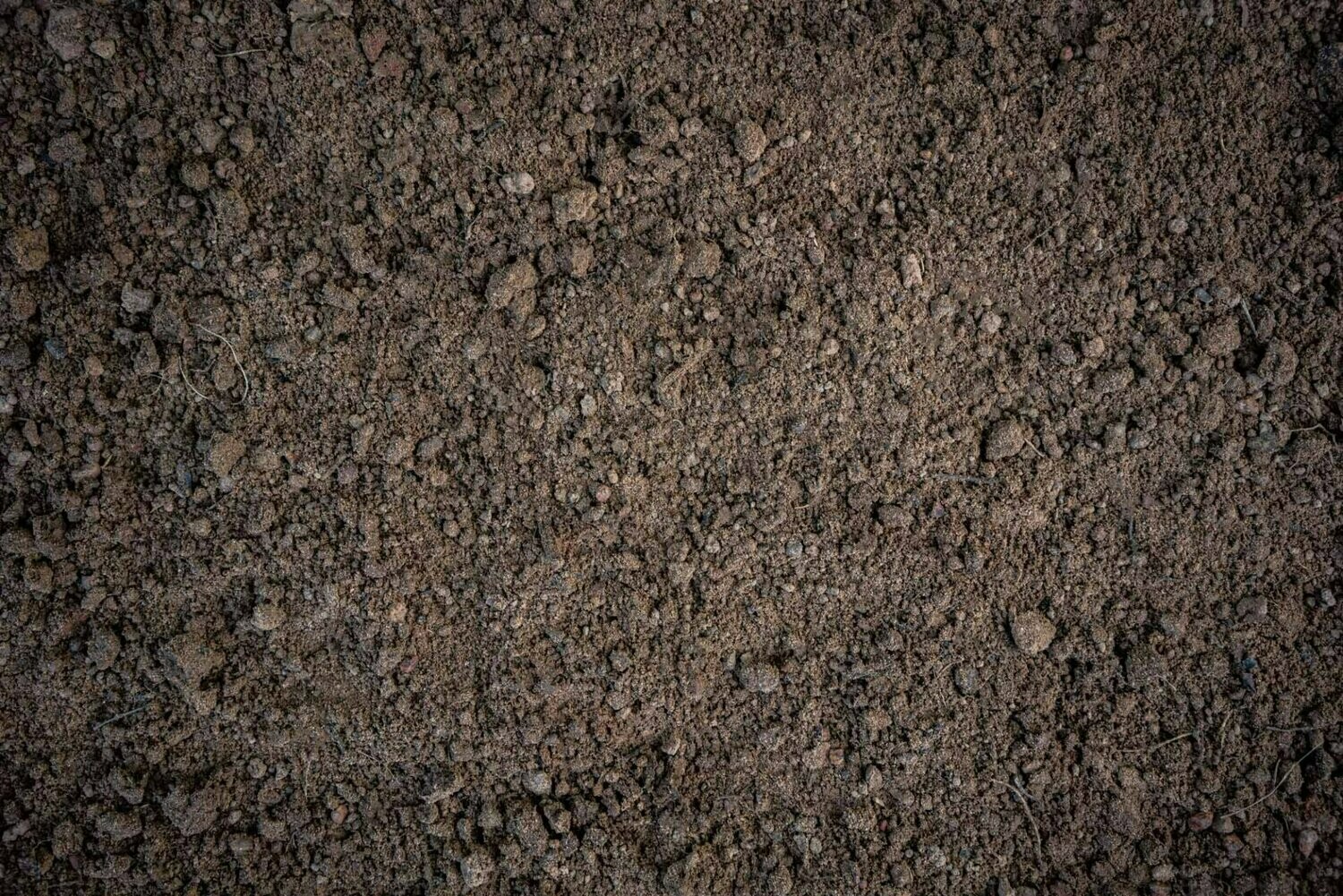 Screened loam soil stockpile for landscaping and lawn projects in Calgary–Edmonton, Alberta