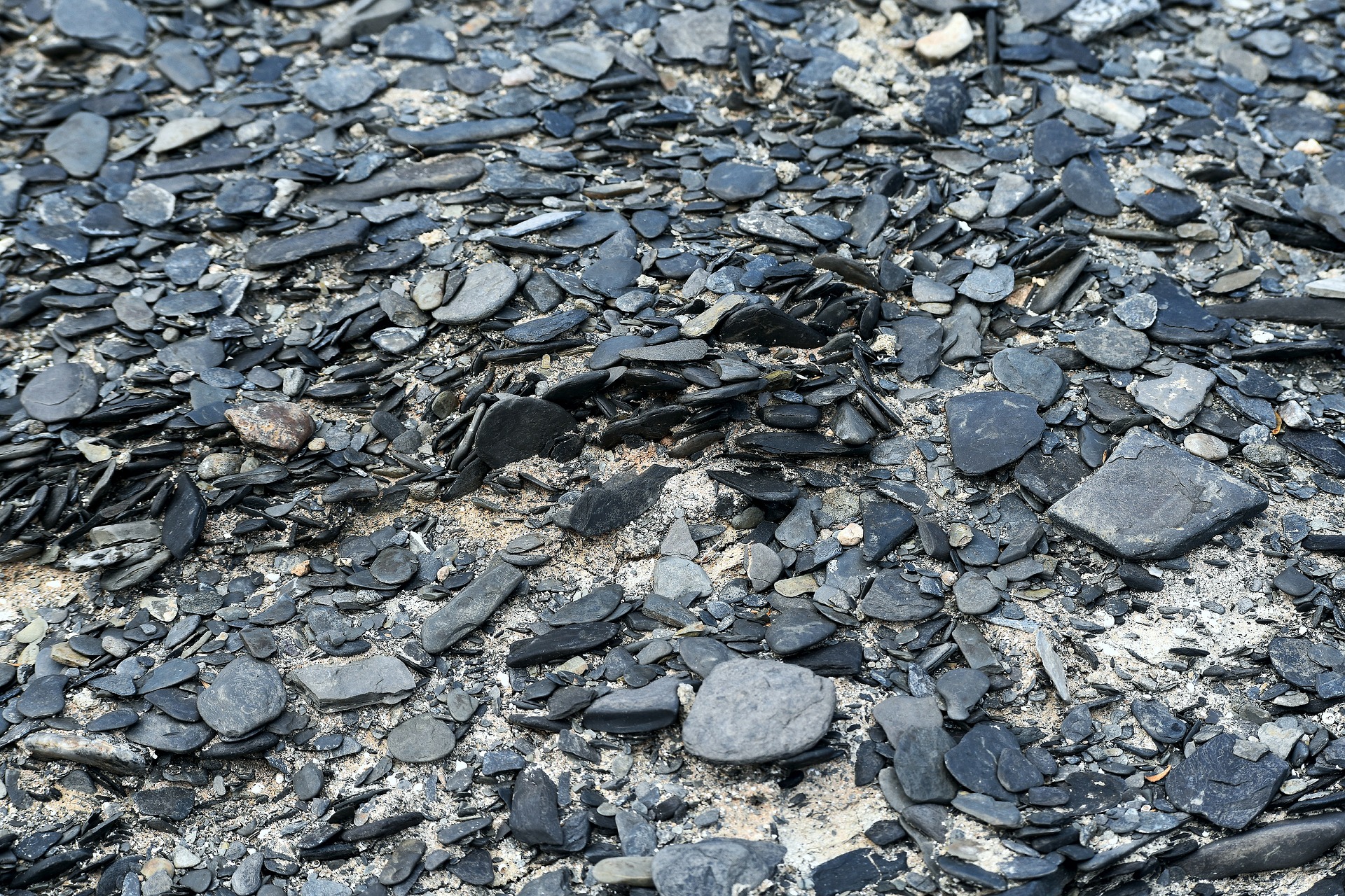 Grey Shale Rock for Landscaping