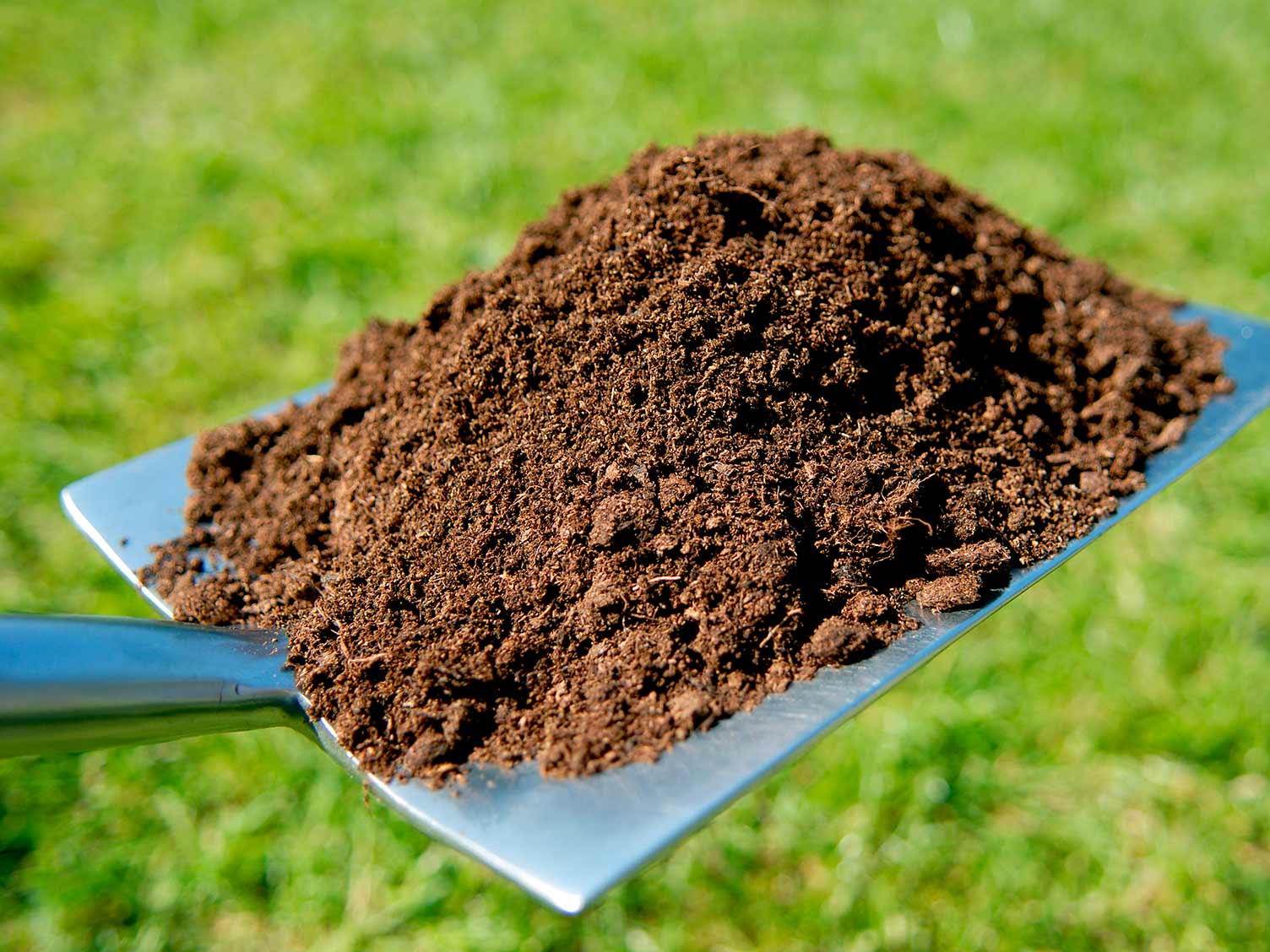 top dressing for healthy lawn